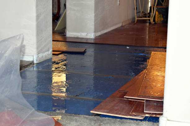 Professional Sewage Cleanup technician working in Bradley, ME
